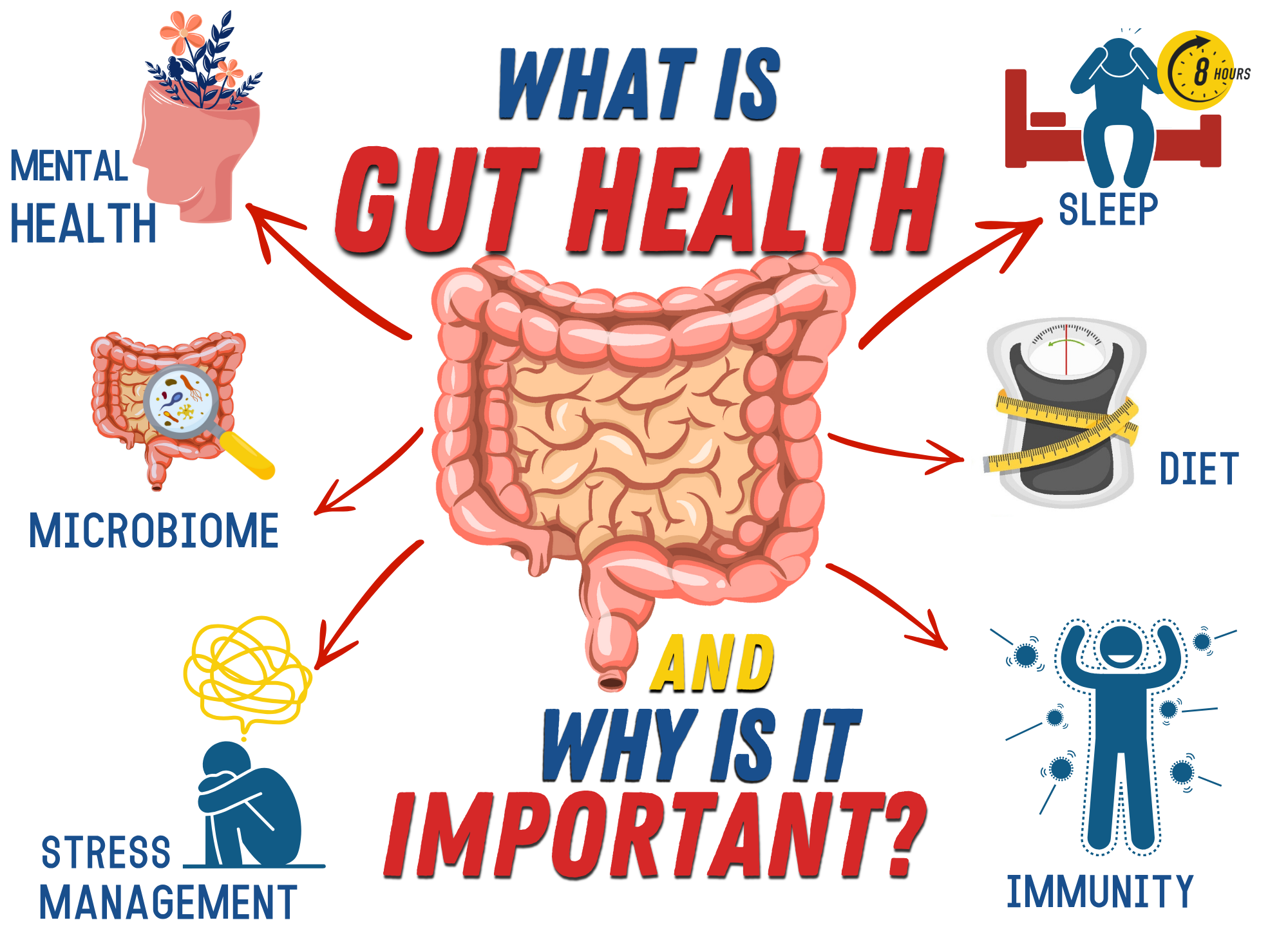 Gut Health and Why it is important